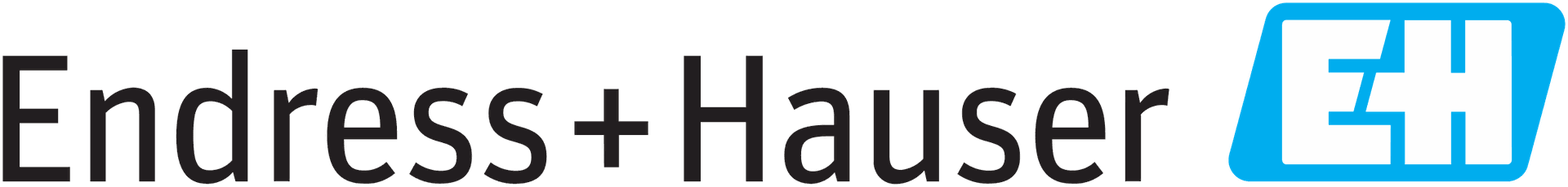 Endress + Hauser 