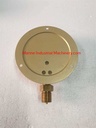 Daito Keiki BS G 1-2 Pressure Gauge (0-2MPa)