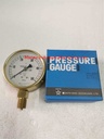 Daito Keiki Pressure Gauge (0-50MPa)