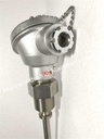 PT100 Resistance Bulb