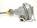 NDS Pt100 Temperature Sensor