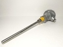 NDS Pt100 Temperature Sensor