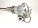 RTD K 1.6 Thermocouple