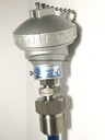 RTW Pt100 Temperature Sensor