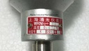 WRN-330 Thermocouple (0-800°c)