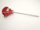 Deka SA PT100 3W Temperature Sensor