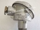 AMT 1xPT100 Thermo Sensor