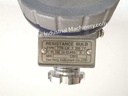 Dae Yang TTR-LN Pt100 Resistance Bulb