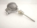 Dae Yang TTR-LN Pt100 Resistance Bulb