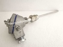 Dae Yang TTR-LN Resistance Bulb Pt100