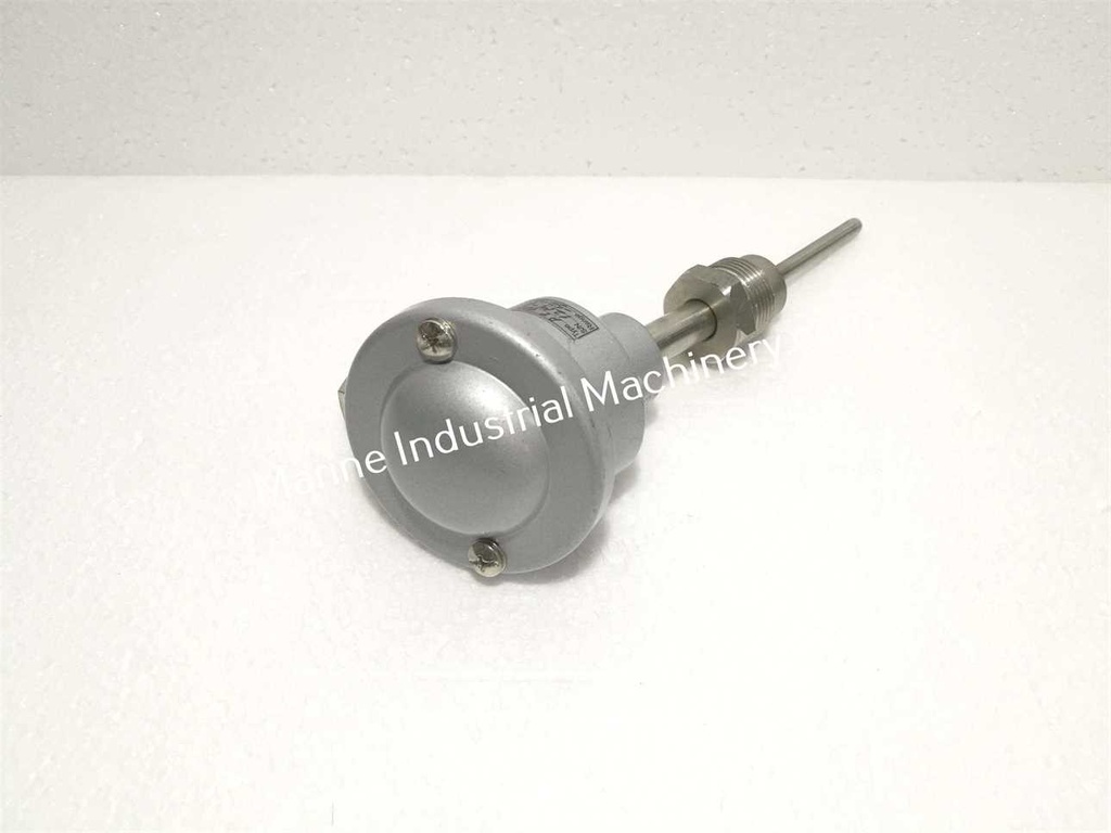 Thermometer PT100 (-50-200°C)