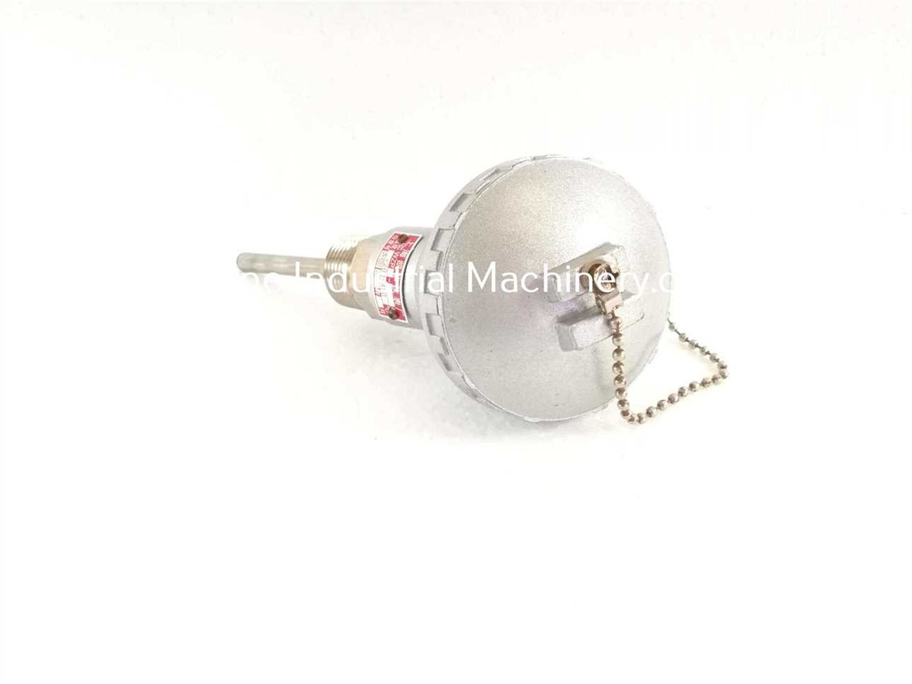 Thermometer PT100 (-200-450°C)