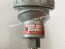 WZP-138 Thermocouple
