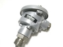 Trafag PT100 Thermo Resistor