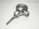 WZP-138 Thermocouple Pt100