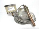 Murphy A25TG-160-S25-1/2 Temperature Meter