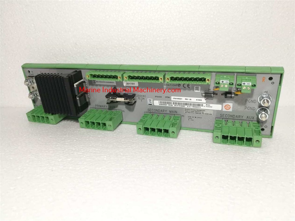Emerson 5X00489G01(Rev 08) Module