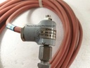 Dittmer 1xPT100 Type T206D Schorch