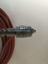 Dittmer 1xPT100 Type T206D Schorch