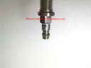 Baumer Electric IFR 12.24.11/K462 Proximity Switch