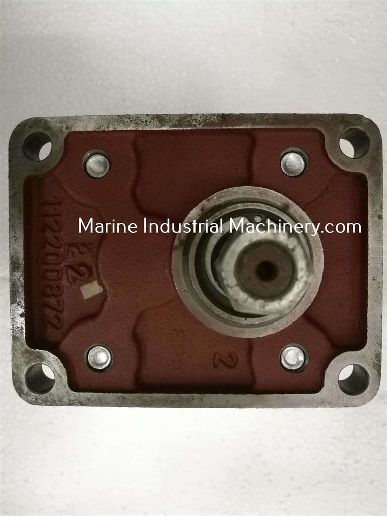 Salami 2PE 11.3D-P28P1 Gear Pump