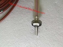 Jumo PT 100 Temperature Probe