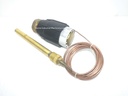 Danfoss AVT 065-0301 Thermostatic Sensor