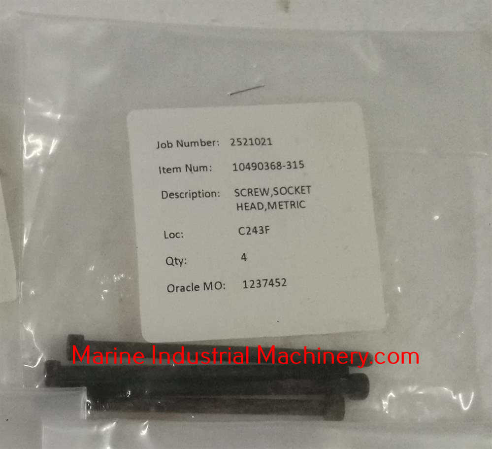 10490368-315 Screw,Socket Head,Metric