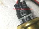 Caterpillar Deutsch DT04-3P Cable For Cat Caterpiller Temperature Sensor