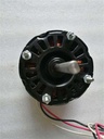 Dayton 3M549BG Motor