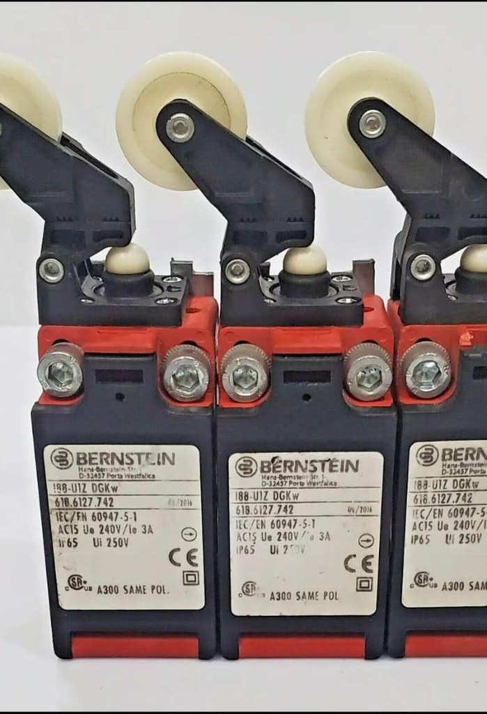 Bernstein 188-U1Z DGKw Limit Switch