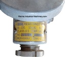 Muryama Denki R111 Resistance Bulb