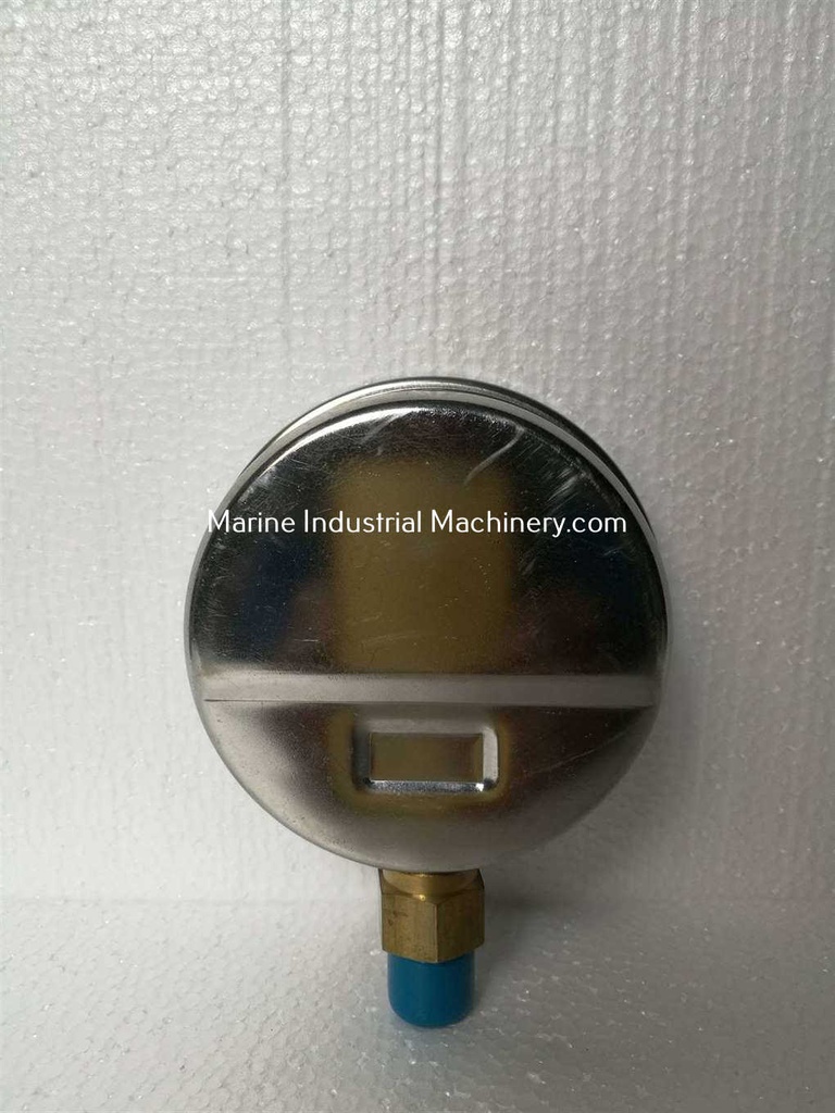 CAI Pressure Gauge
