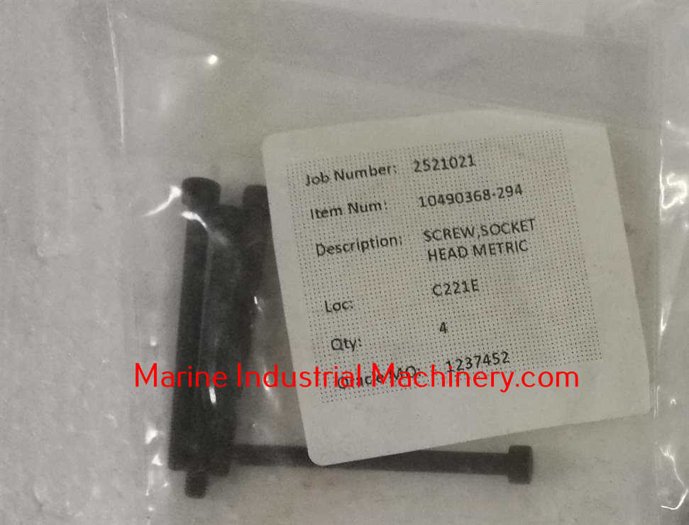 10490368-294 Screw Socket Head Metric