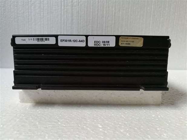 Toronto Micro Electronics EP301R-12C-A4D Mini Server