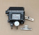 Young Tech YT-1000 Electro-Pneumatic Positioner