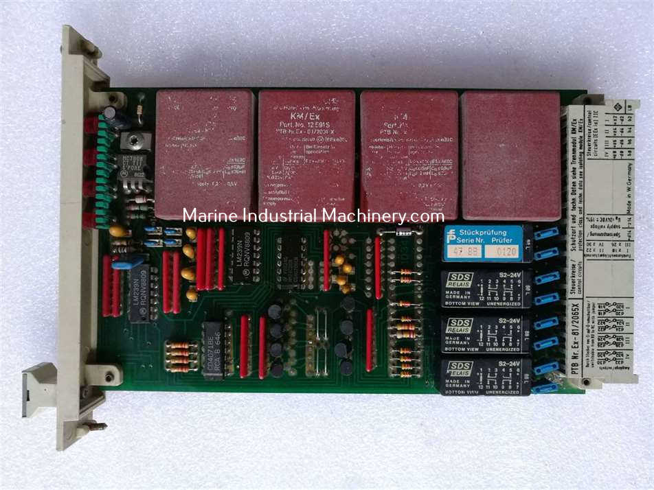 Pepperl+Fuchs EG4-R Y19759 Switch Amplifier module