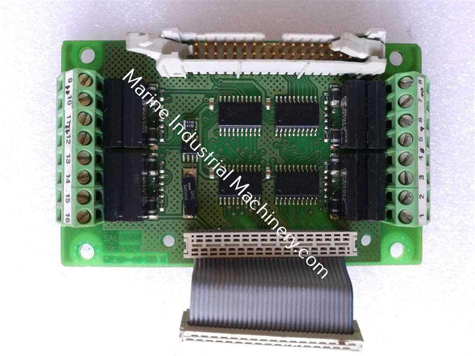 Salwico SW2020 RIOM-41 R0 K Pcb Card