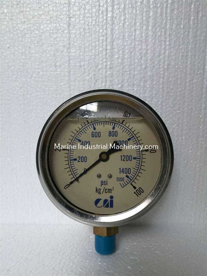 CAI Pressure Gauge