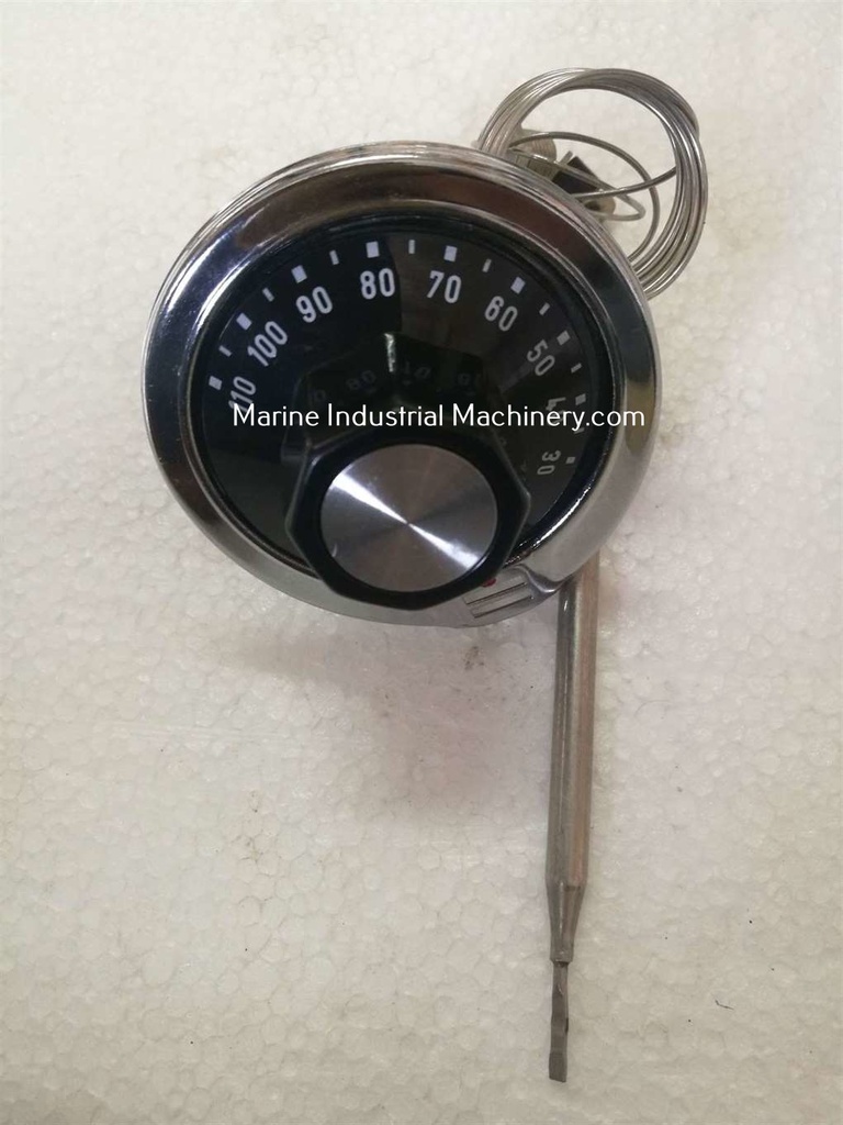 Ego 55.19022.819 Thermostat