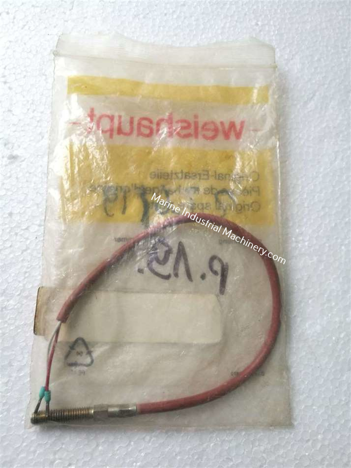 Weishaupt 51221001417 PT100 Sensor