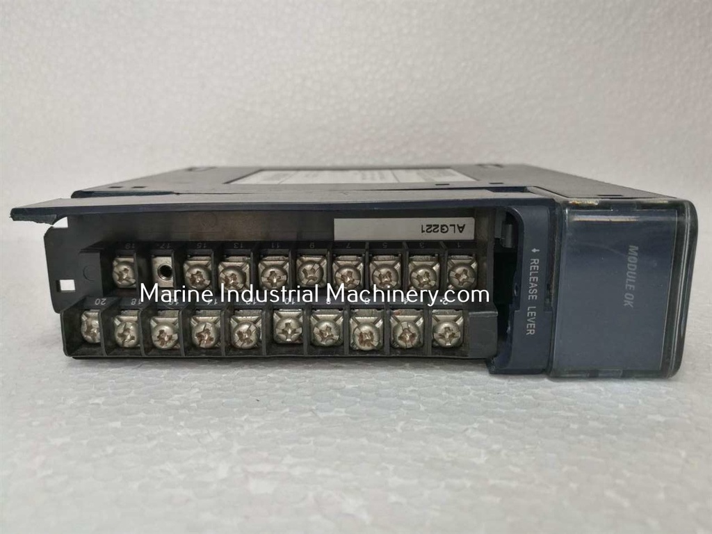 GE Fanuc IC694ALG221A Input Analog 4PT Current