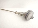 Dae Yang TTR-LN Resistance Bulb Pt100