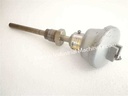 Nagai Riko D12/L110 Termperature Sensor