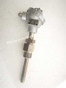 Daeyoung Pt100 200°C Temperature Transmitter