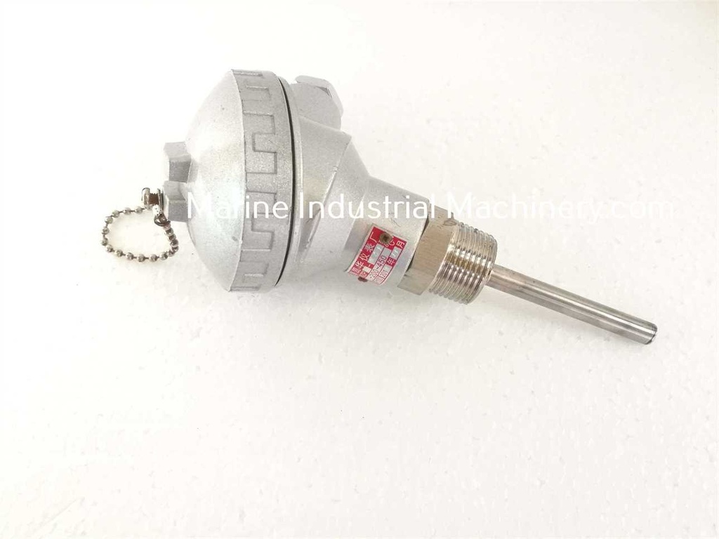 Thermometer PT100 (-200-450°C)