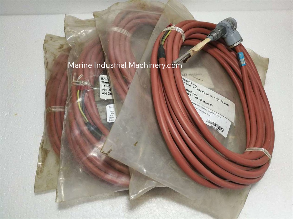 Dittmer 1xPT100 Type T206D Schorch