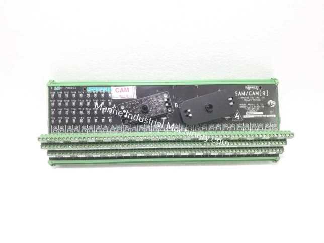 Siemens-Moore SAM-CAM[R] Standard And Critical Analog Module