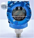 Modern Automation SET16B Digital Pressure Transmitter