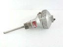 Pt100 Thermometer